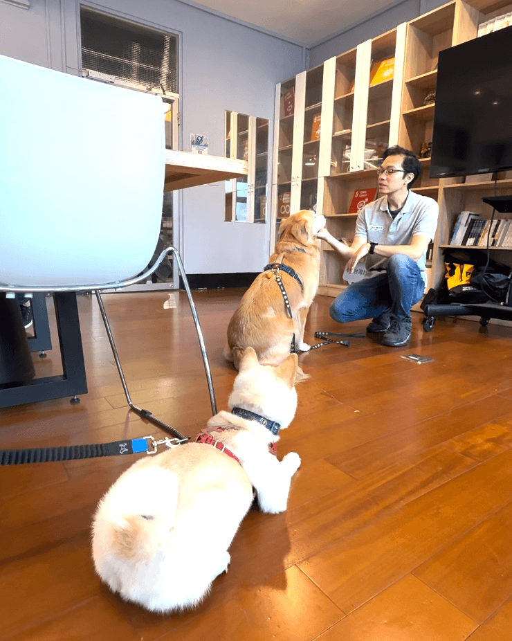 Screenshot 2026-02-23 at 4.01.21 PM.png