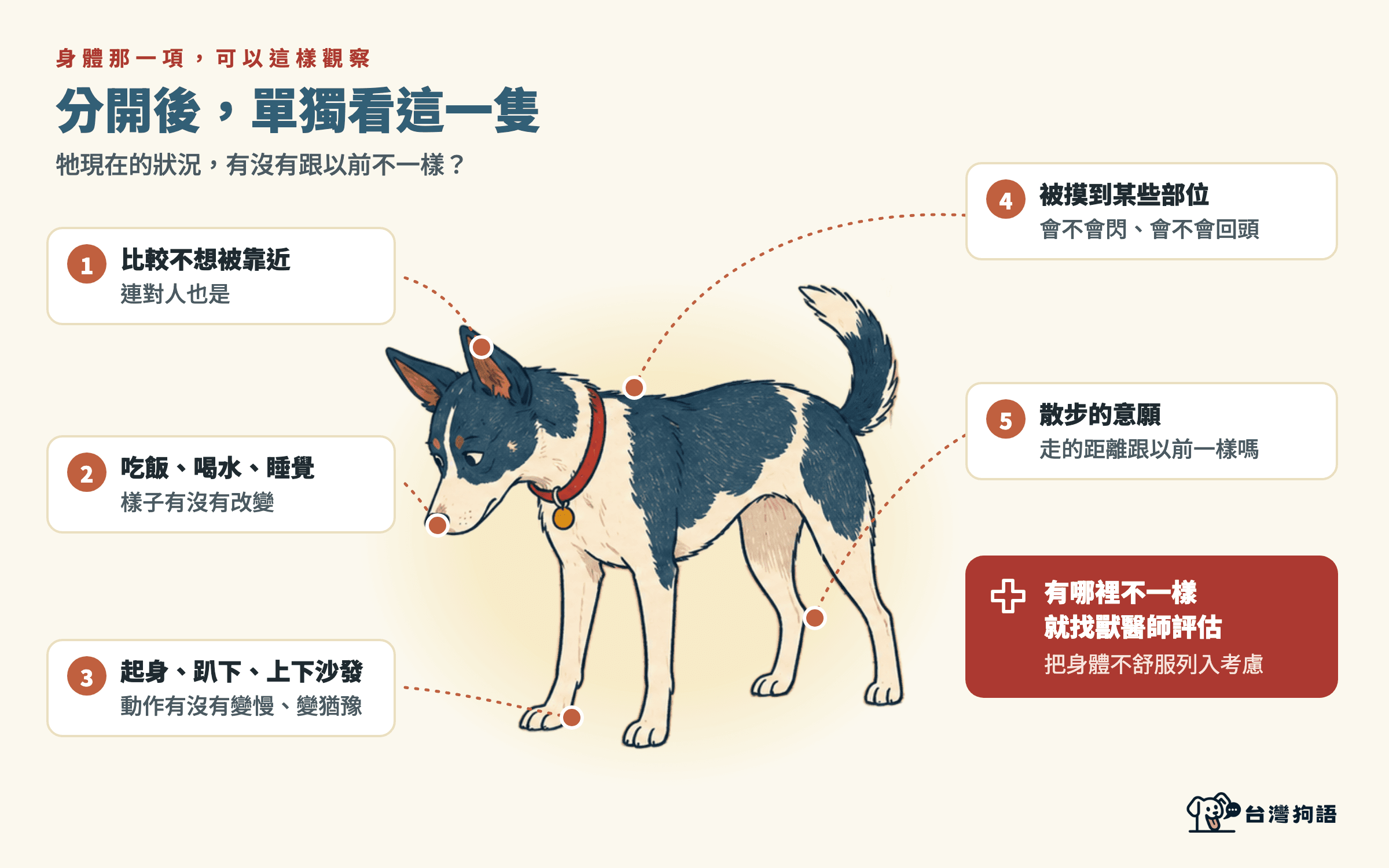 分開觀察時，身體可以留意的地方
