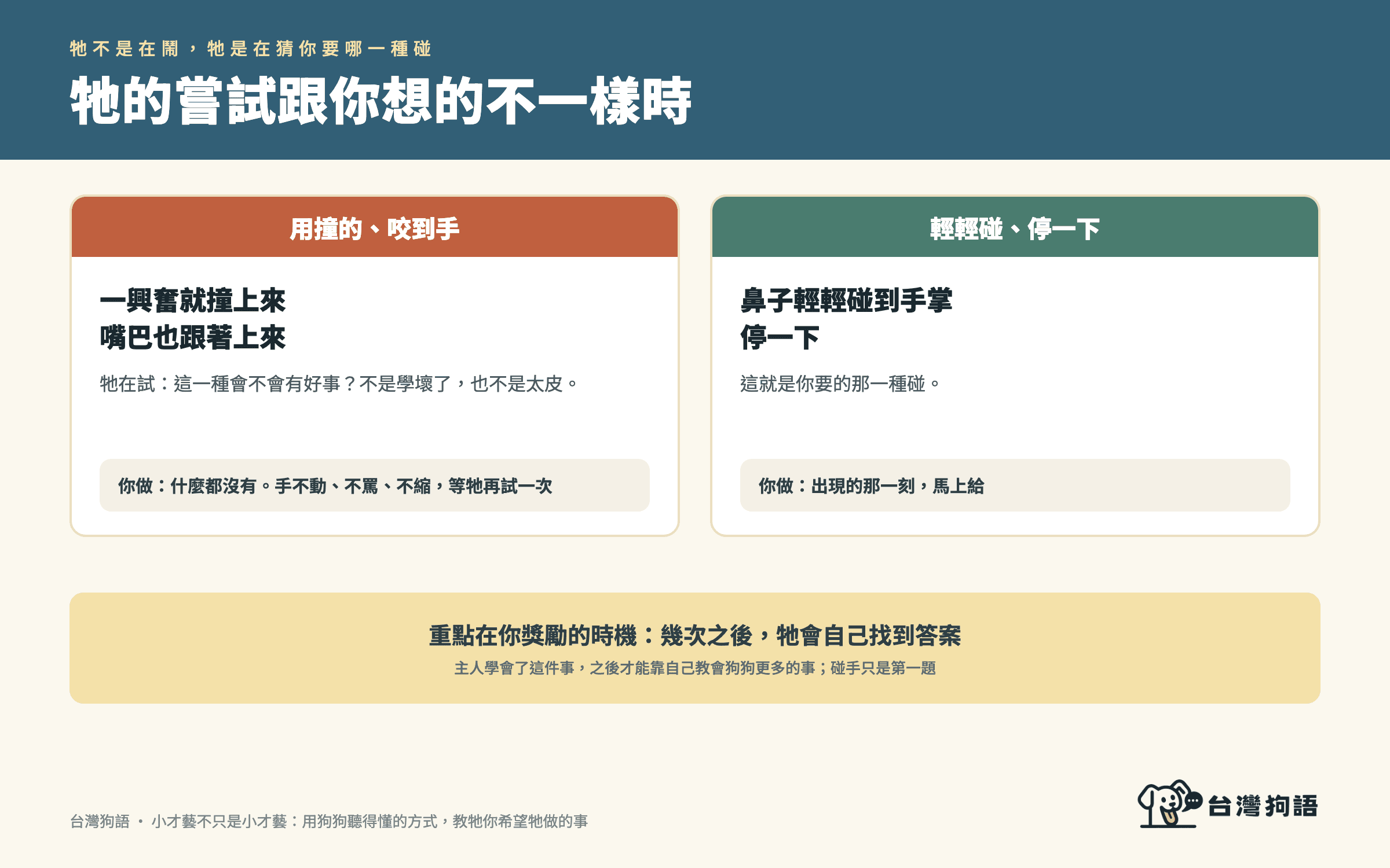 牠的嘗試跟你想的不一樣時