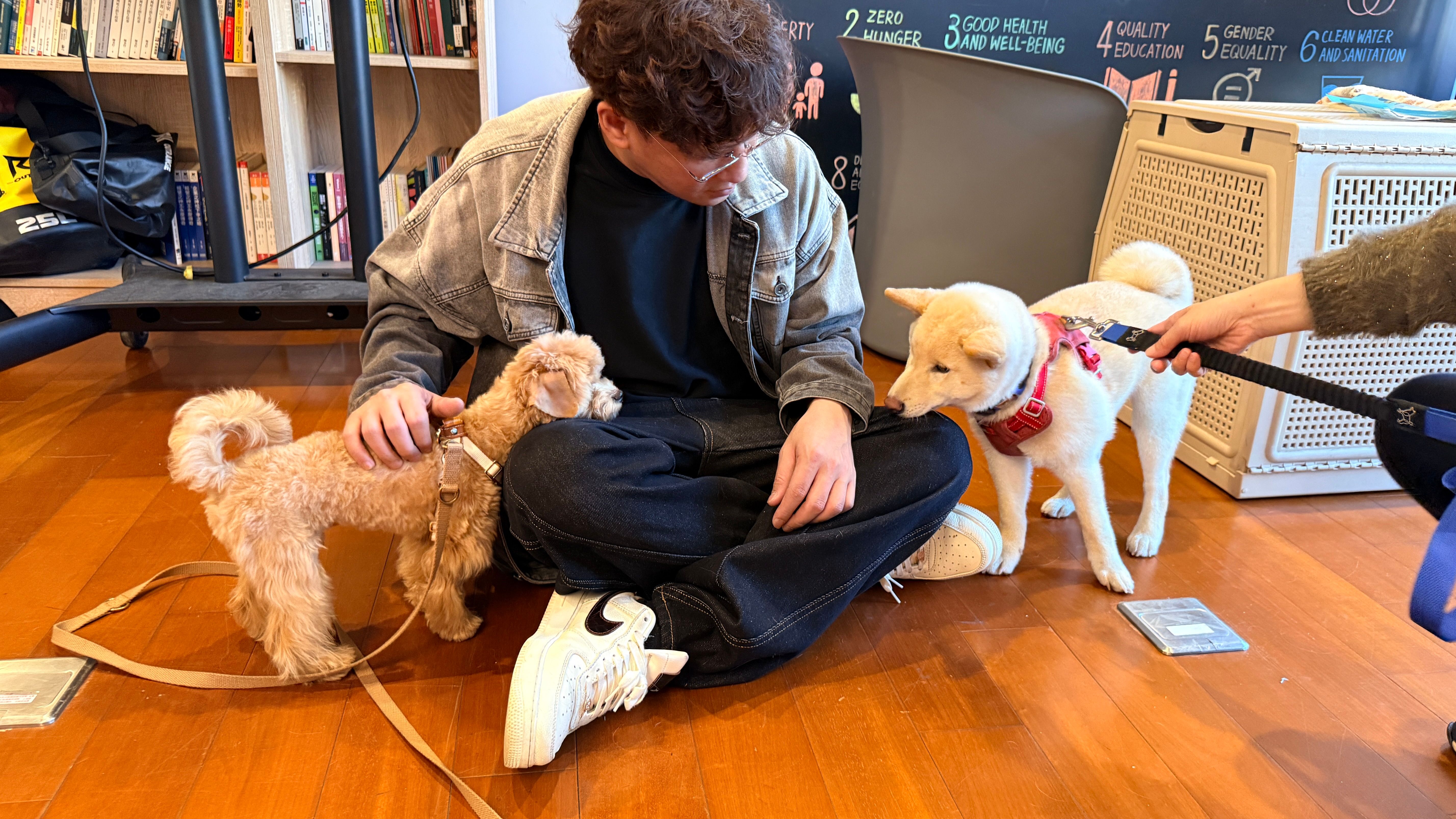 狗狗們的互相探索與認識 copy.jpg