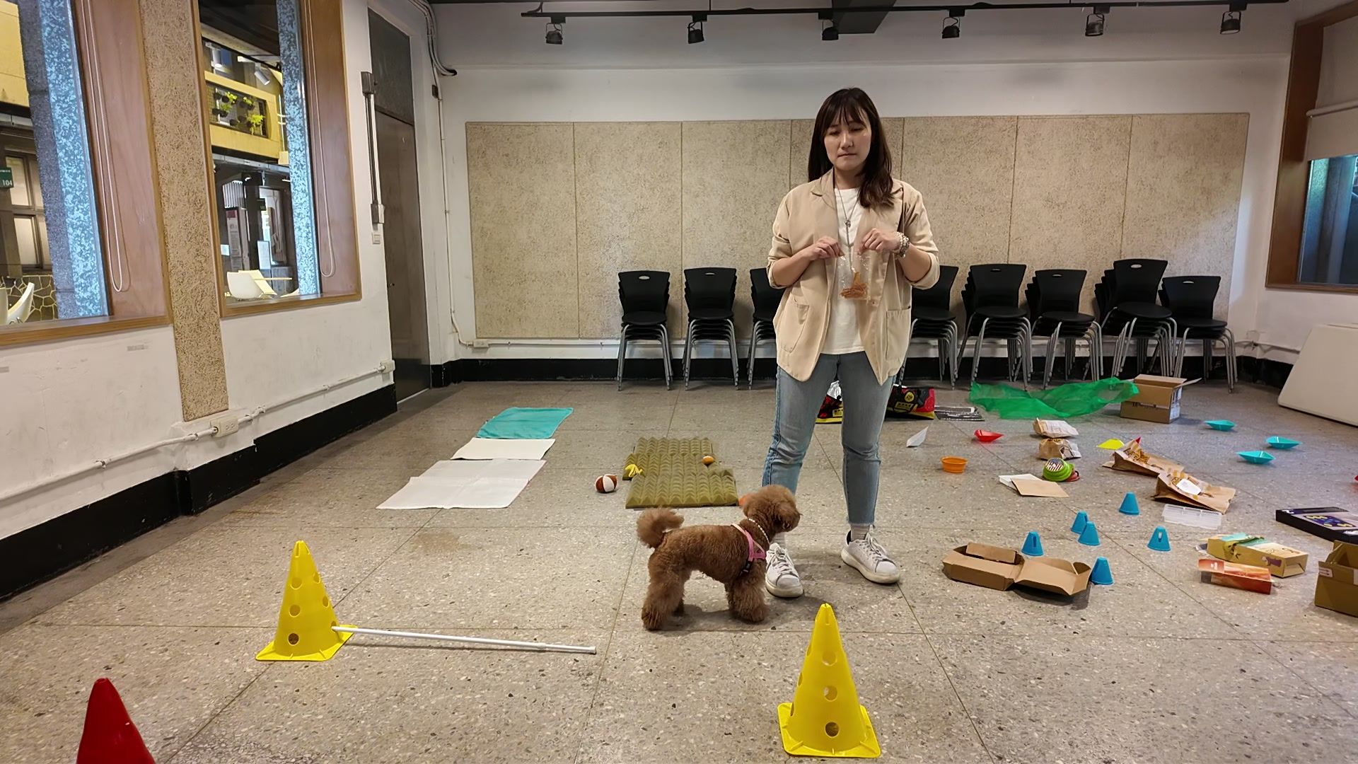 狗狗室內樂園體驗 照片 8