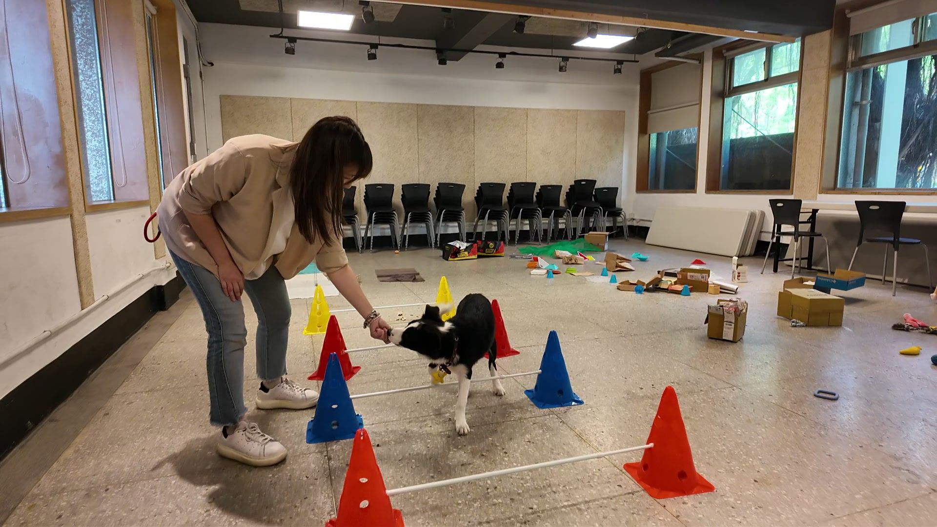 狗狗室內樂園體驗 照片 9