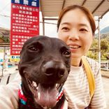 專家頭像