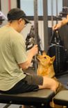 專家頭像